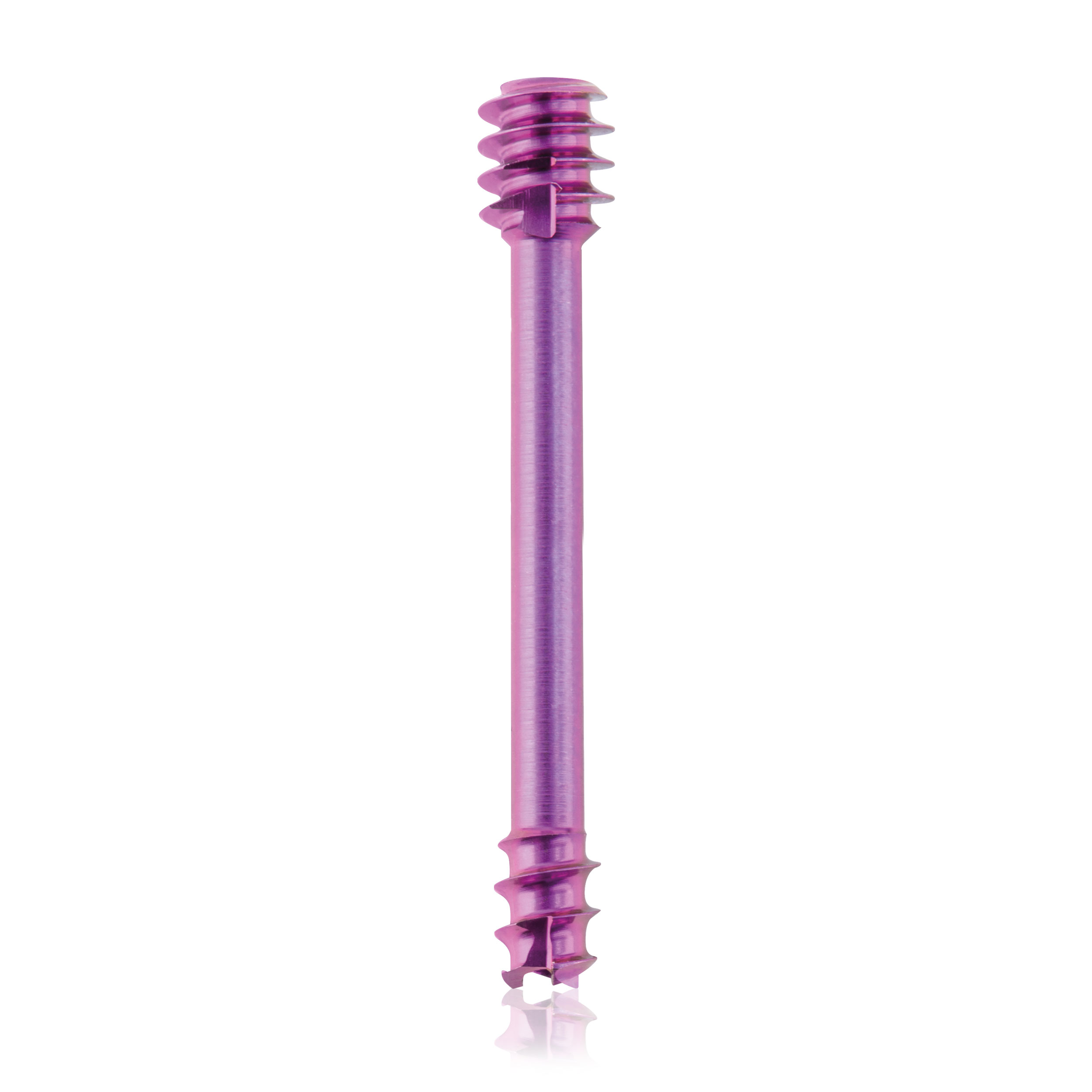 L = 20mm